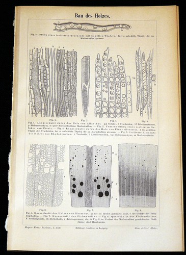 Holz bau des holzes - des,